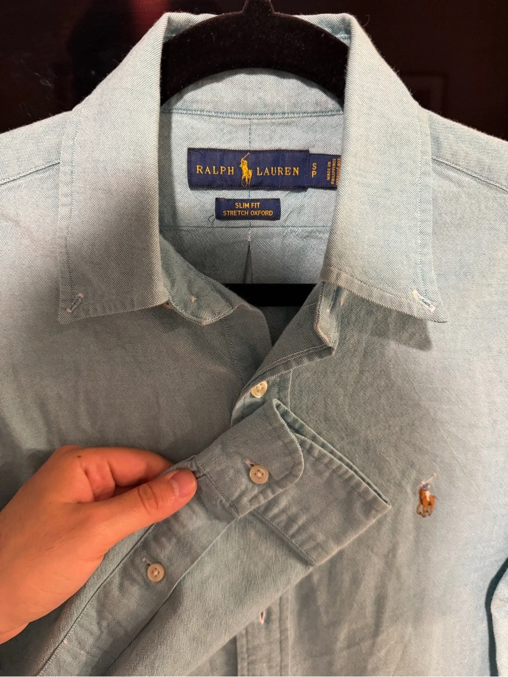 Polo by Ralph Lauren Light Blue Button-Down Shirt with Embroidered Pony